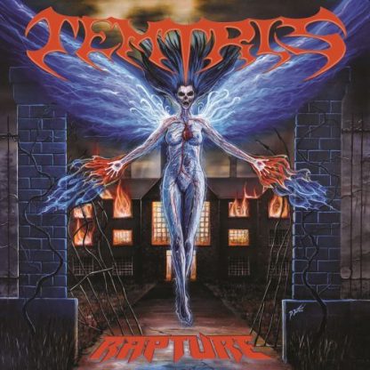 Temtris - Rapture